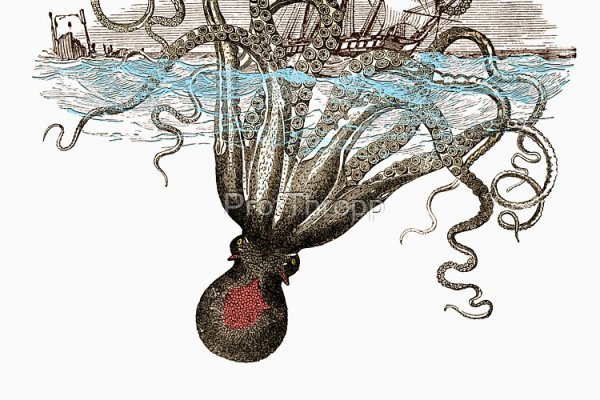 Kraken 23at