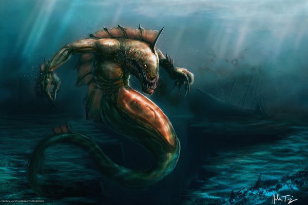 Kraken 24at